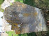 image of grave number 883562